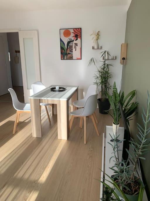 נרבון Appartement Le 48 מראה חיצוני תמונה